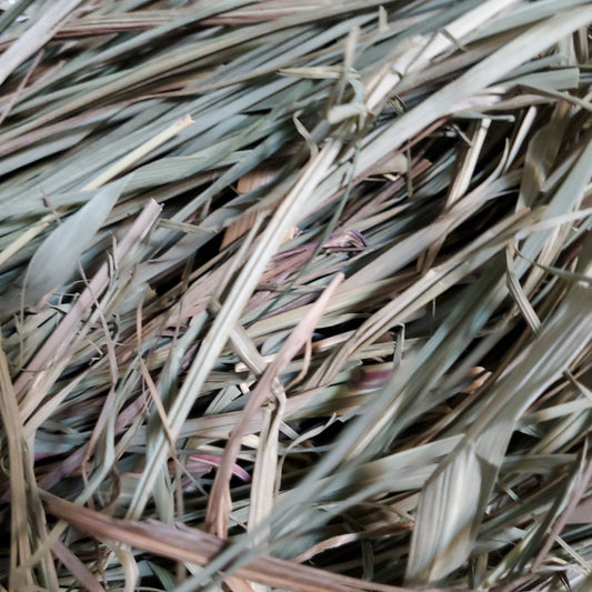 Fevergrass(lemongrass)